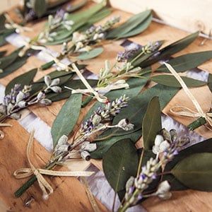 Dried organic flowers on bench.